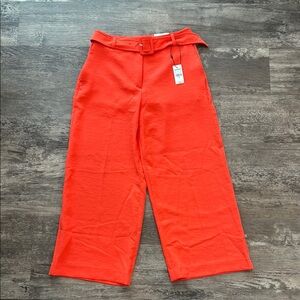 Express Vibrant Orange Wide Leg Pants Crop High Rise